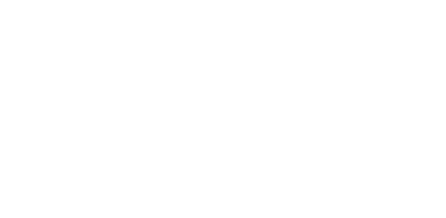 ace-logo